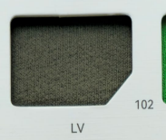 B1696 #102 LV sempreverde