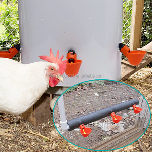 YYB LM32 automático sin residuos juego aves <span class=keywords><strong>gallos</strong></span> accesorios taza plástico aves bebedero de agua <span class=keywords><strong>para</strong></span> pollo - Product Image 6