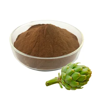 100% Natural Artichoke Leaf Extract Powder Cynarin 5% Artichoke HPLC Extract