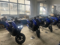 2000W Power Electric Scooter for Urban Commute and Street Use Dual Disk Brake Electric Motorcycle