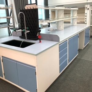<span class=keywords><strong>Table</strong></span> <span class=keywords><strong>de</strong></span> travail <span class=keywords><strong>de</strong></span> laboratoire avec armoire, conception CAO gratuite - Product Image 5