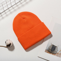 Unisex Volwassen Winter Warme Pet Hoge Kwaliteit Gebreide Slouchy Beanie Met Aangepaste Logo Patch Gemaakt Van Katoen Bedrukt Patroon