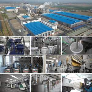 Suministro a granel Grado de alimentación Nutrición animal Fuente de energía Polvo Grado de alimentación Dextrosa anhidra para ganadería - Product Image 5