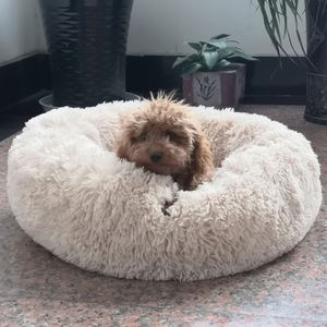 Yangyangpet suave calentamiento felpa tela perro mascota cama barata al por mayor Donut cama con patrón sólido calmante para perros - Product Image 2