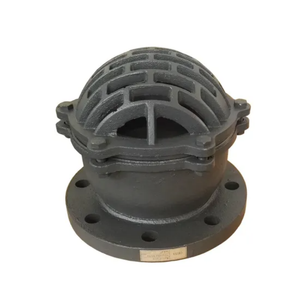 Gang/van chân sắt dễ uốn trong ứng dụng bơm Van công nghiệp PN16 - Product Image 2