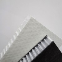 Panneau composite sandwich en nid d'abeille en plastique PP en fibre de verre haute pression pour raquettes de pickleball
