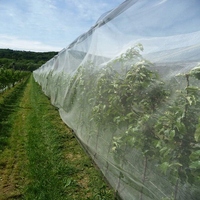 Filet anti-insectes en HDPE tricoté de haute qualité, maille 50, pour la protection des tunnels agricoles et des légumes