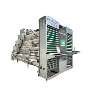 Automatic A Type Poultry Laying Hens Equipment Manufacturers Design for 10000 Layer Chickens Cages