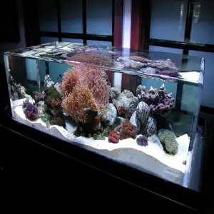Подгонянная Форма Акриловый Аквариум аквариум прозрачный морской цилиндр морской