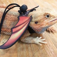 Harnais et laisse pour lézard barbu, lot de 3 tailles, ailes de dinosaure, accessoires de marche et d'entraînement en plein air pour reptiles, laisse pour petits animaux
