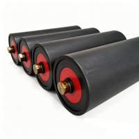 Rouleaux de convoyeur fournis par la Chine, rouleaux de convoyeur à bande en HDPE, prix, pièces d'équipement de manutention