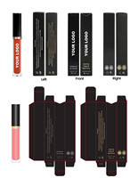 Gloss à lèvres non collant 24 heures Teinte volumisante Longue durée Imperméable Rouge à lèvres liquide Maquillage Marque privée Rouge à lèvres mat