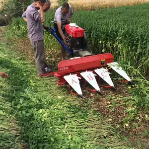 Passeio envoltório do soro do arroz de soja atrás do trator de sésame pequeno mini maize harvester silage máquina e modeladora