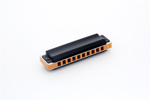 EasttopT008Sハーモニカブルースハープ<span class=keywords><strong>10</strong></span>ホールディアトニックプロフェッショナルハーモニカ