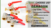 Válvula de bola de latón Bornic 3/8-8 con rosca macho neumática y conector de púas PEX MIP FIP, válvula de agua hembra, OEM personalizable
