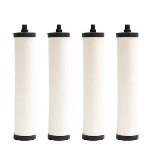 Katrid Keramik Perak Lilin Keramik Penggantian Filter Air dengan Filter Kubah Keramik