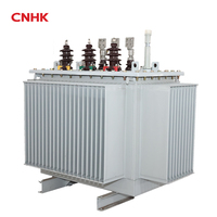 Transformateur de distribution triphasé immergé dans l'huile à moyenne tension CNHK HKS11/HKSZ11/HKS18/HKS20/HKS22 50/60Hz IEC60076