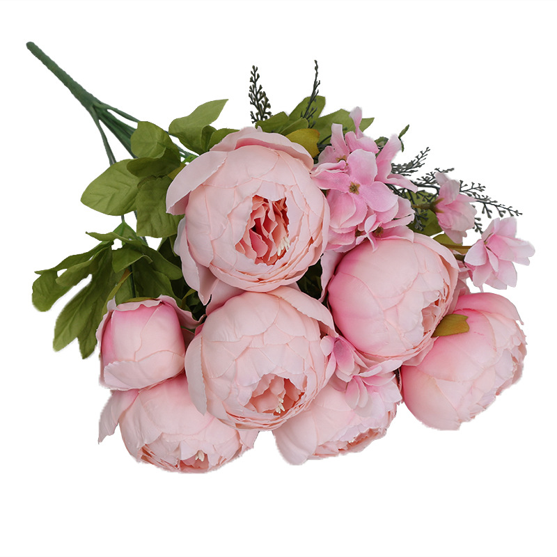 Rosa rosa primaverile