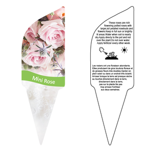 Etiqueta de planta de hortensia Etiqueta colgante de nombre de semilla Etiqueta colgante resistente a los rayos UV - Product Image 3