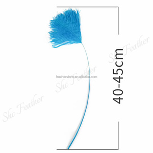 Plumes d'autruche rayées de haute qualité, 40-45 cm (16-18 po), pour décoration de costumes de carnaval, couleurs personnalisées - Product Image 6