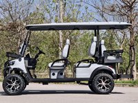 Voiturette de golf 6 places, véhicule de tourisme, vente directe usine, pour l'accueil en station balnéaire, utilitaire, alimentée au lithium, pour la plage et les zones humides