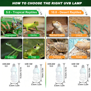 Lampada UV Compatta Fluorescente 13W 26W E26 E27 per Rettili, UVA+UVB, Integratore di Calcio, Vitamina D3, Lampada UV per Tartarughe e Draghi - Product Image 5
