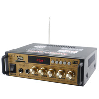 BT-198E BT-198B 300W + 300W BT 5.0 12V araba HiFi Stereo ses amplifikatörü ev için Hi Fi 220V