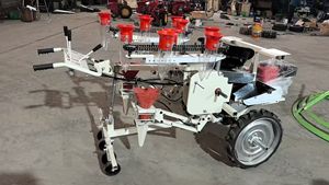 Transplanteur de légumes et de <span class=keywords><strong>semis</strong></span> à chaud, machine à planter les <span class=keywords><strong>semis</strong></span> montée sur tracteur, équipement de <span class=keywords><strong>semis</strong></span> en serre pour l'agriculture - Product Image 5
