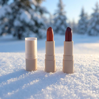 Vente en gros Maquillage végétalien longue durée imperméable à l'eau Rouge à lèvres mat de luxe Rouge à lèvres de marque privée