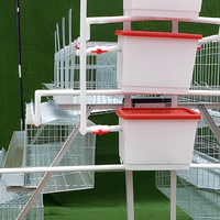 Système d'équipement galvanisé pour l'élevage avicole en gros : Cage à batterie pour poules pondeuses à vendre