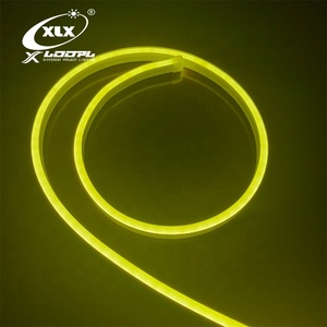 Hot Sales 5M/roll <strong>LED</strong> Silicone Neon Flex <strong>LED</strong> <strong>Strip</strong> 2.5cm Cut IP65 Landscape <strong>Lighting</strong> DC12V Neon Rope <strong>Strip</strong> - Product Image 1