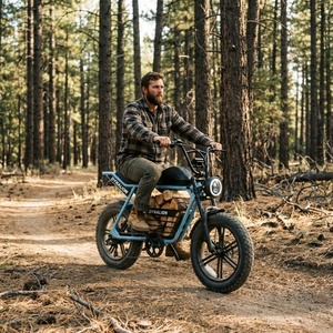 จักรยานเสือภูเขาไฟฟ้า 7 สปีด พร้อมหน้าจอ LCD สำหรับการขี่กลางแจ้งและล่าสมบัติ - Product Image 3