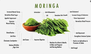 नीम निजी लेबल मोरिंगा पत्ती नरम जेल कैप्सूल मुर्ंगा निकालने का पाउडर गर्भवती महिलाओं के लिए नहीं - Product Image 3