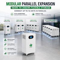 Batterie LiFePO4 16 kWh 51,2 V 314 Ah Garantie 10 ans Haute Capacité Stock Local UE Alimentation Solaire de Secours pour Grandes Familles