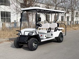 Carro Eléctrico de Gran Capacidad para 6 Personas, Ideal para Recorridos Turísticos en Parques y Zonas Panorámicas - Product Image 3
