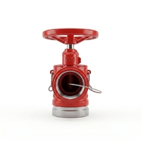 Hydrant d'incendie intérieur SN65 en acier inoxydable 304/316 pour la sécurité incendie des bâtiments intérieurs / Industrie incendie australienne / Réducteur de pression / Pompe à eau
