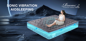 Matelas de massage par vibration électrique Matelas de lit vibrant Couvre-matelas vibrant Sommeil - Product Image 2