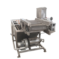 Hoogrenderende Industriële Plantaardige Mango Reiniging Bosbessen Aardbei Fruit Wasmachine