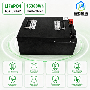 Batterie au lithium LiFePO4 48V 15,36 kWh avec BMS intelligent, cellules de batterie au lithium fer phosphate, cycle profond, grade A, rechargeable - Product Image 3