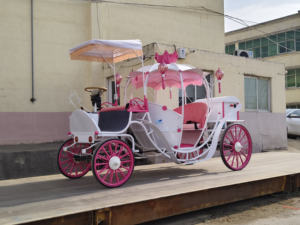 Vehículo Eléctrico Tipo Carruaje de Cenicienta de HYS Manufacturers, Transporte Todoterreno Especial - Product Image 4