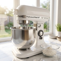 Mélangeur Commercial Robuste Électrique Vertical pour Pâtes, Pizzas et Gâteaux – Pétrin Professionnel pour Cuisine