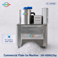 Machines à glace en flocons personnalisées, automatiques, en acier inoxydable, haute efficacité, équipement pour la chaîne du froid des produits aquatiques