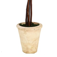 Topiaire sphérique en cyprès préservé de 42 cm de hauteur, plante artificielle réaliste en forme de cyprès, ornement décoratif pour l'intérieur et l'extérieur