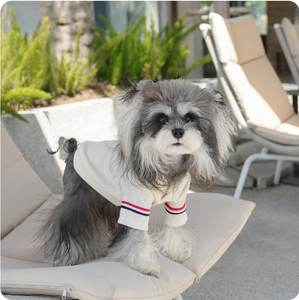 Cárdigan de Algodón Sólido para Primavera, Otoño e Invierno, Estilo <span class=keywords><strong>Academia</strong></span>, Lindo y Cómodo para Mascotas, Ropa Elástica para <span class=keywords><strong>Perros</strong></span> y Gatos - Product Image 3