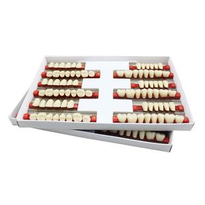 Dientes de resina acrílica para dentadura, dientes de resina artificiales - Product Image 3