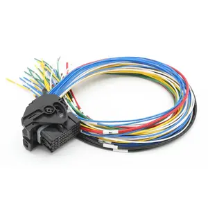 13956021 Delphi Aptiv ECU 48 Way Wiring Harness For Trailer To Board Automotive Electrical Connector Wiring Harness