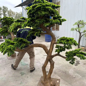 شجرة صنوبر بونساي اصطناعية يدوية الصنع صديقة للبيئة من الألياف الزجاجية/الخشب بارتفاع 2 متر للديكور الداخلي/الخارجي وحفلات الزفاف - Product Image 3