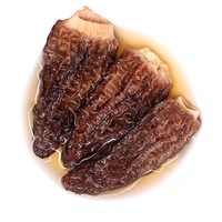 Prix Préférentiel Morilles de Haute Qualité, Champignons Morilles Cultivées Biologiques Séchées