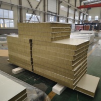 Isolation haute densité de panneau de laine de roche résistant au feu de nouvelle conception moderne chaude pour des murs extérieurs pour la protection modulaire de façade