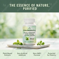 Capsules de Chlorophylle Supplément Super Aliment Vert Persil Menthe Poivrée Luzerne Moringa Spiruline Chlorelle Soutien Détox Végétarien